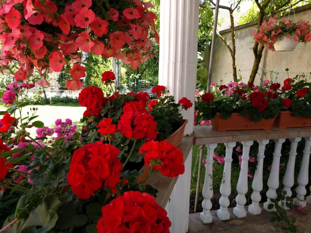 Casa Monica Hotel Baile Felix Ngoại thất bức ảnh